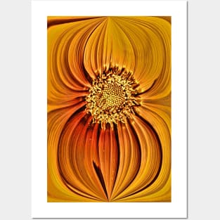 Orange Gazania Design Posters and Art